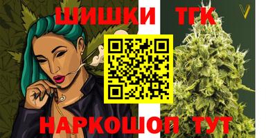 тгк Можга