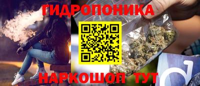 тгк Можга