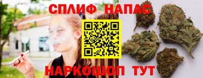 тгк Можга